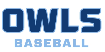 Owls Baseball logo