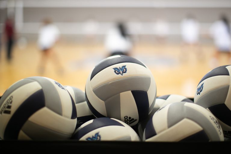 Volleyballs with Owls Logo