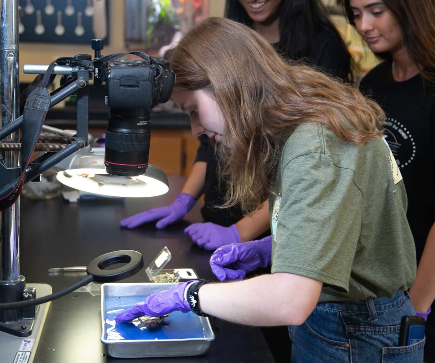 A student examines a gecko in the lab