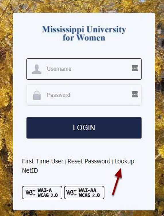 Screenshot showing First Time User below login prompt on WConnect