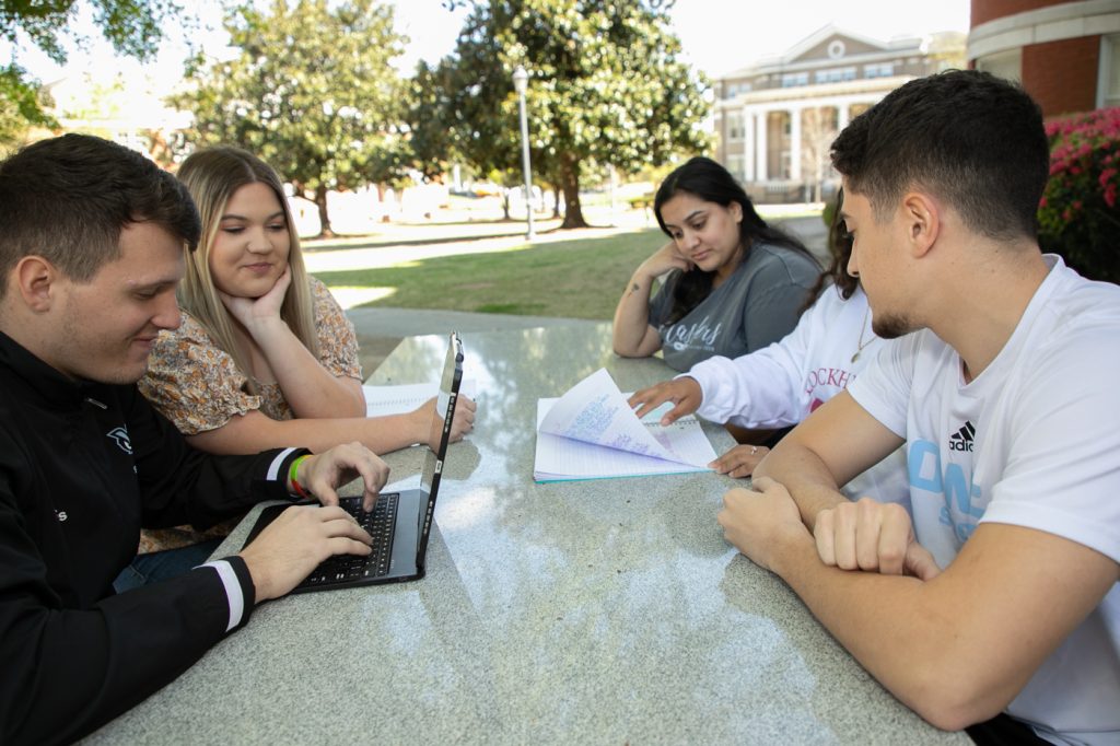 Five students study outdoors