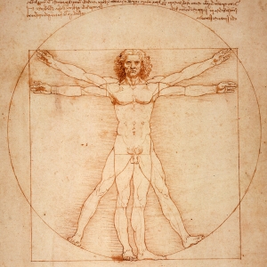 Leonado da Vinci's Vitruvian Man