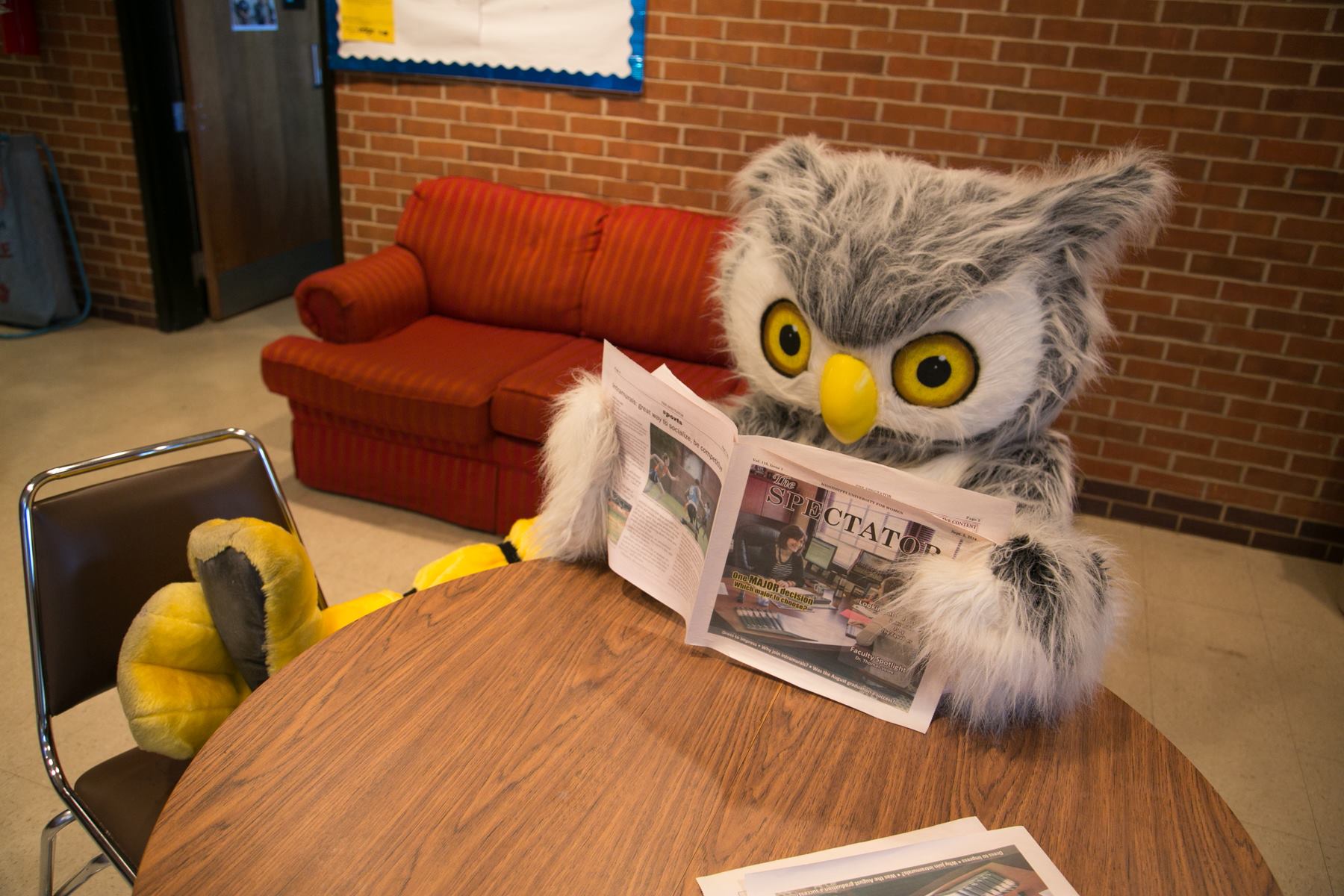 Ody Owl reads The Spectator newspaper