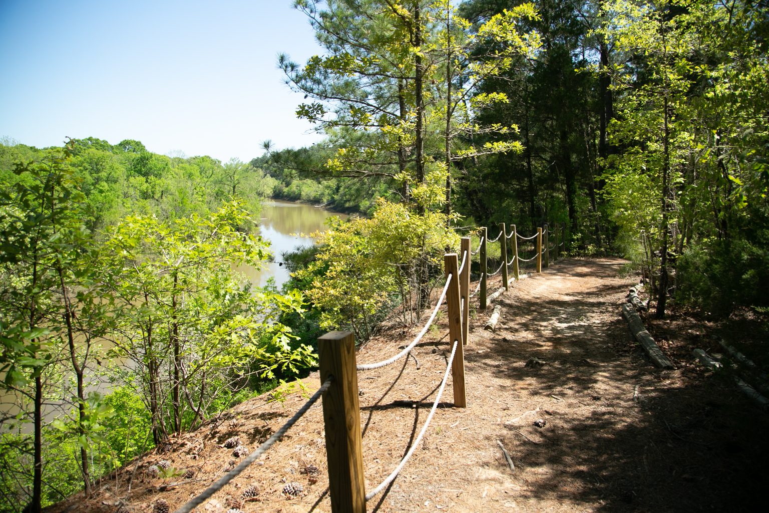 Scenic viewpoint overlooking the Tombigbee River