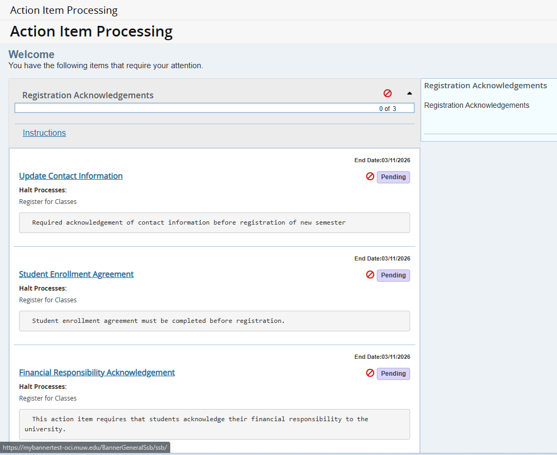 Figure 2: List of Action Items