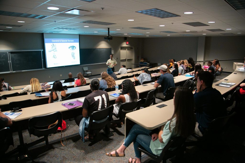 Students listen to a lecture in a modern lecture hall