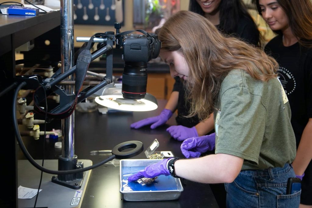 Students examining lizard specimens