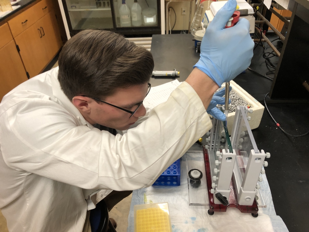 Ethan Wilkins loading a gel