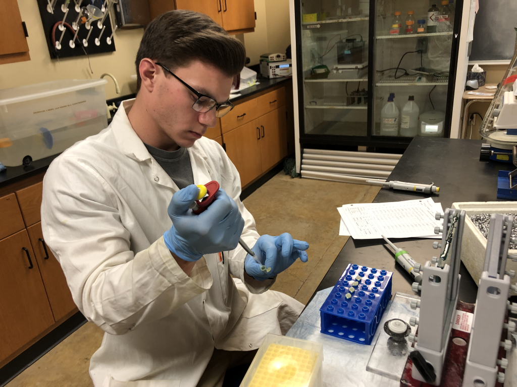 Ethan Wilkins pipeting