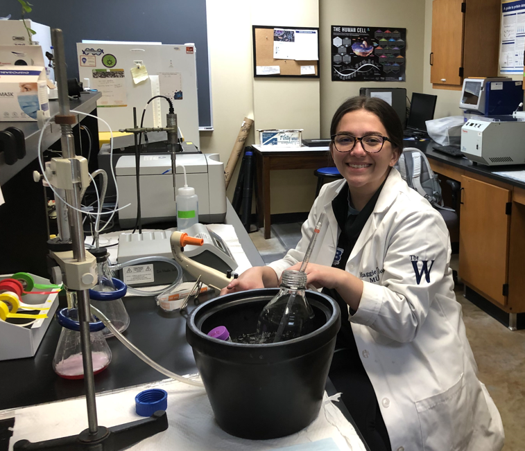 Maggie Taylor at the research bench.