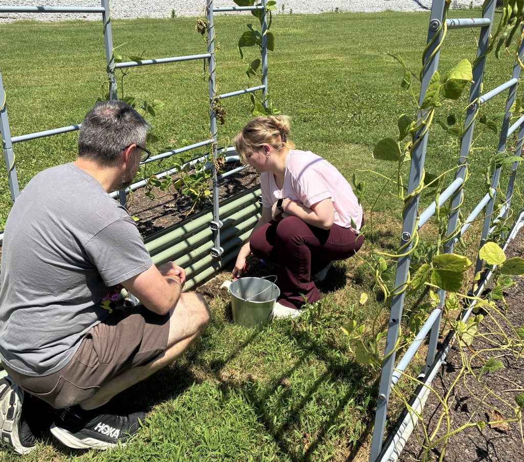 Dr. Dodson and Savannah Voigt crouching beside a large outdoor planter while Savannah collects dirt samples.