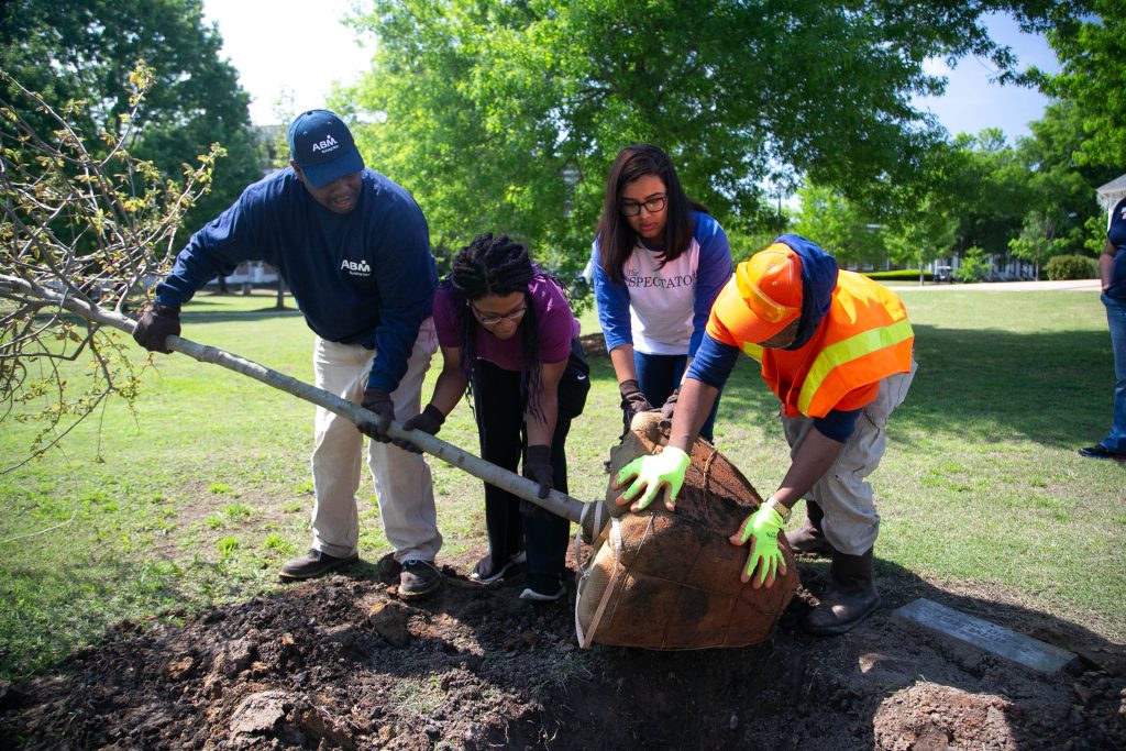 Students and Staff plant a tree