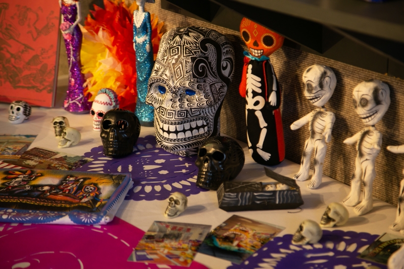Assortment of skull art in display cabinet