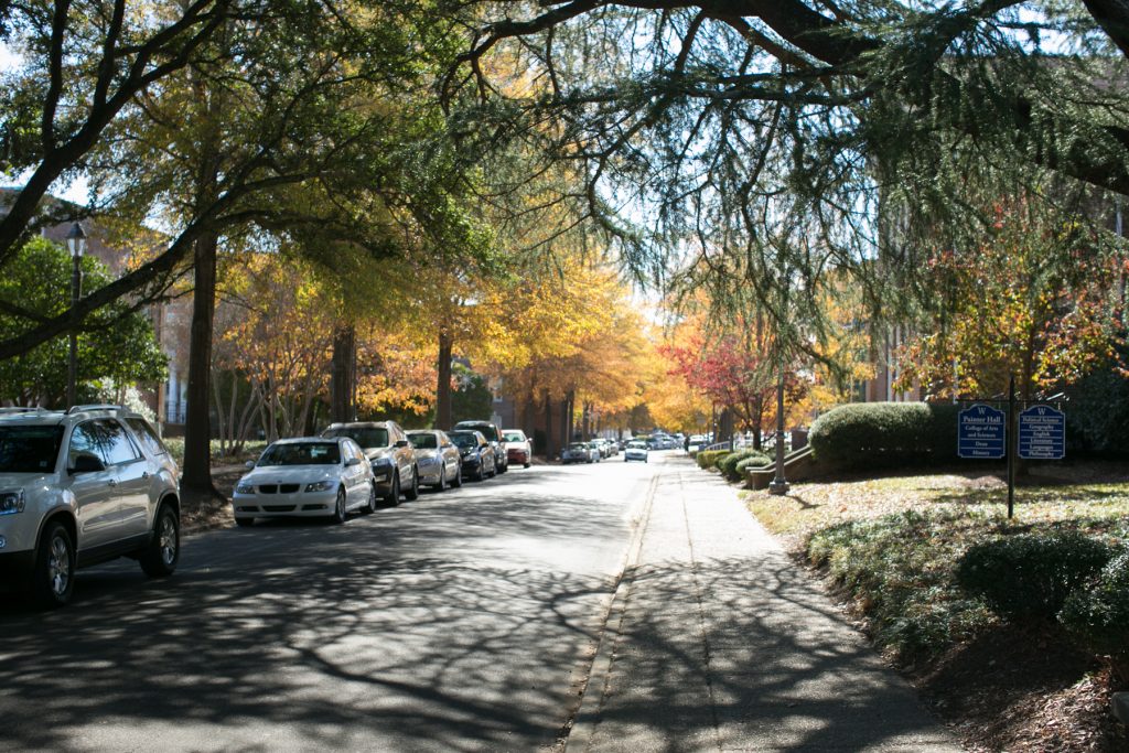 Cedar and Oak trees cast shade over Serenade Drive in front of Painter Hall
