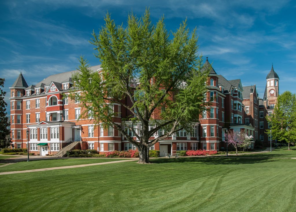 North Campus with ginkgo tree in foreground