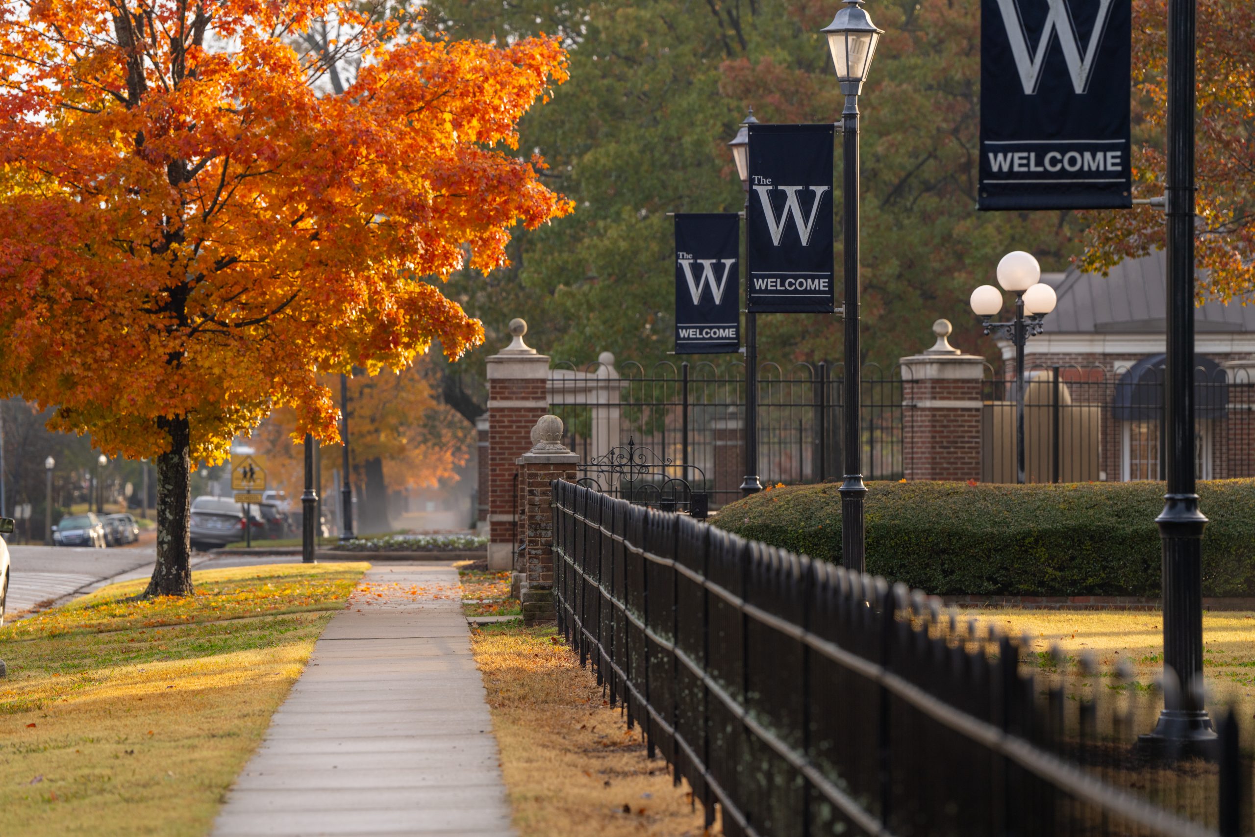The W announces broad growth in fall 2025 enrollment